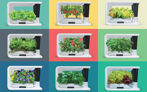9 aspara nature hydroponic smart grower arranged with differnet background and produce growing