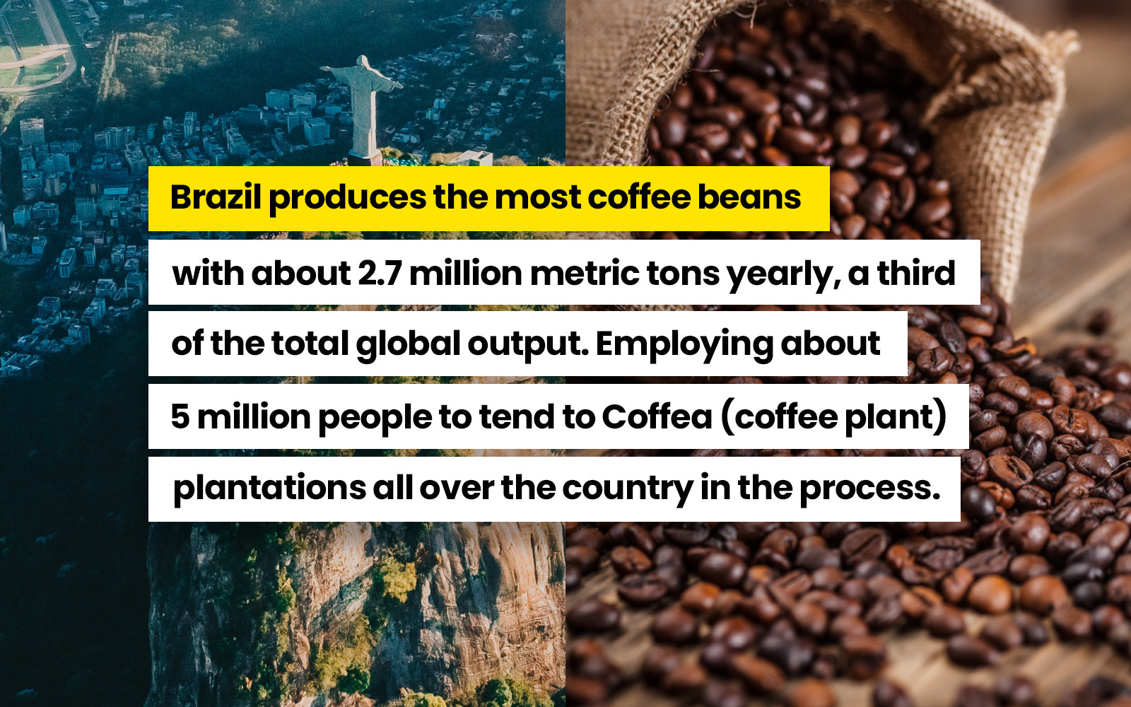 Coffee industry in Brazil