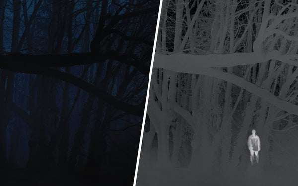 image split in half with left side in darkness the right side showing white image of man in forest