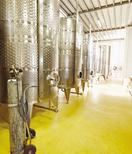 wine fermentation machines