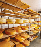 Cheeses on the shelf