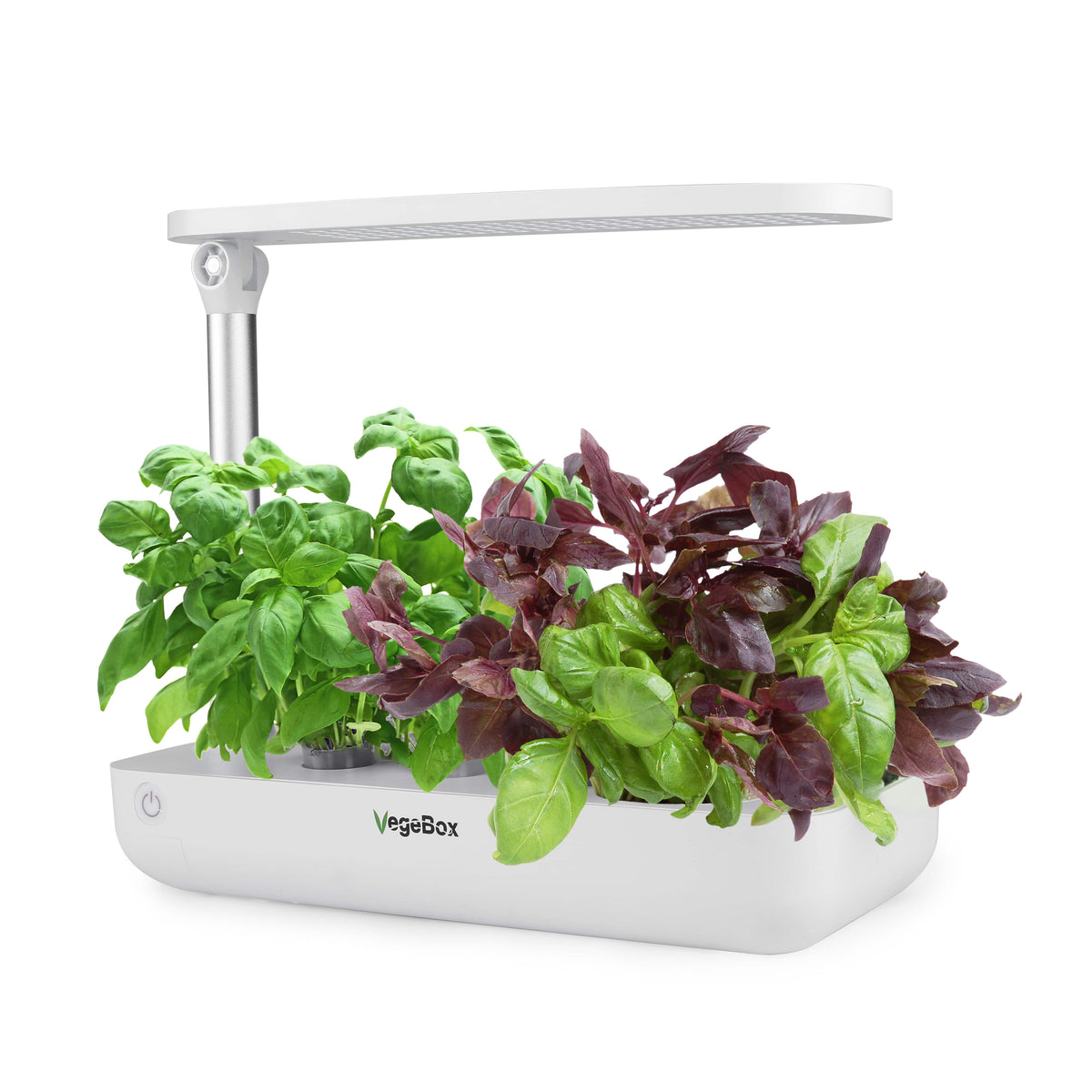 Vegebox with mints