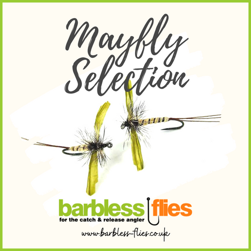 The Adams Selection - from Barbless Flies