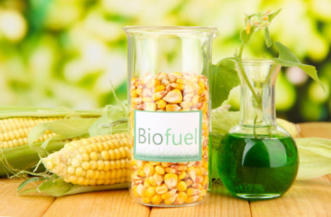 BIO ETHANOL FUEL what its made of and how its carbon neutral and greener for the environment