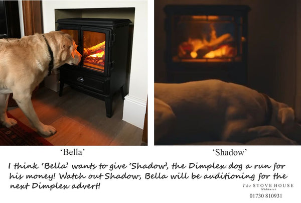 Dimplex Opti Myst Oakhurst With Bella the dog @ thestove house 01730 810931