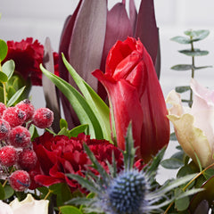 Red tulips for mother's day