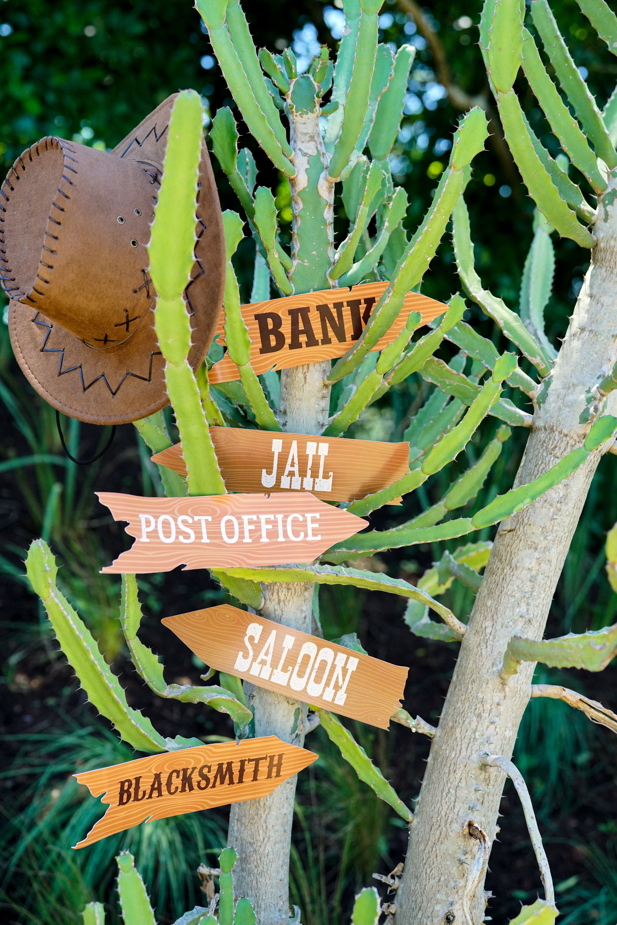 Cowboy Party Directional Signage