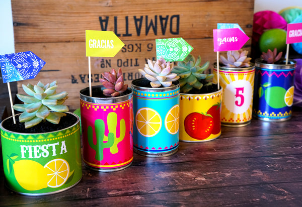 favor tin cans