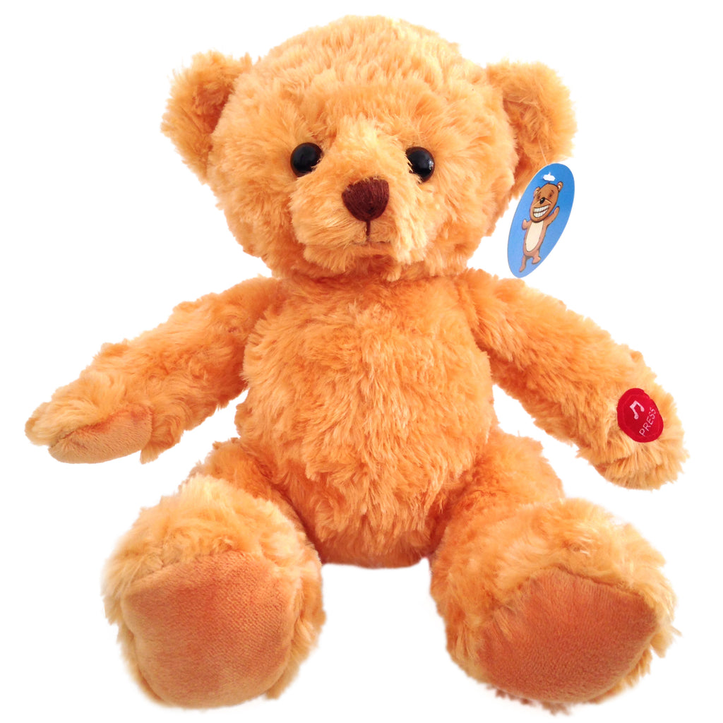 happy birthday teddy bear gift