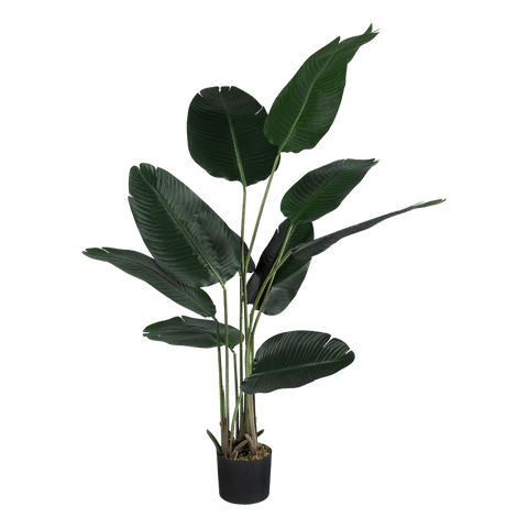 Planta artificial colgante Manaos - Cantia