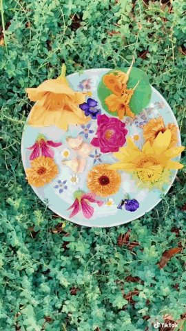 11 Edible Flowers for Green Witchcraft | The Witch's Guide