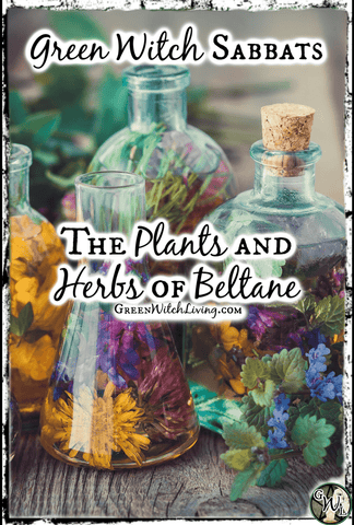 Green Witch Sabbats: The Plants and Herbs of Beltane | Green Witch Living