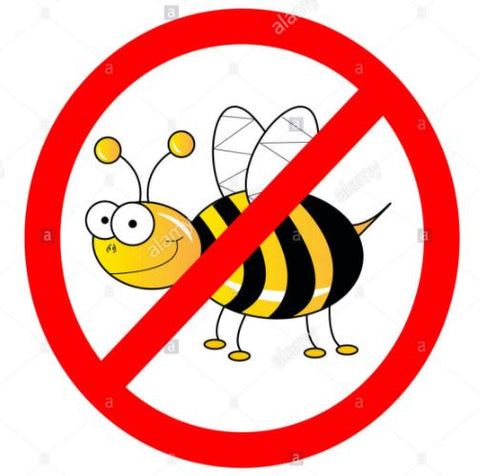 no bees Baltic amber