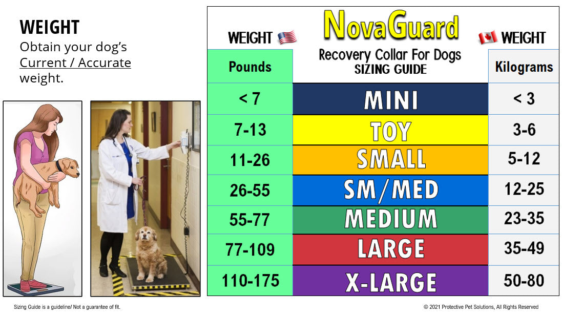 NovaGuard Recovery Collar for Dogs and Cats Sizing Guide