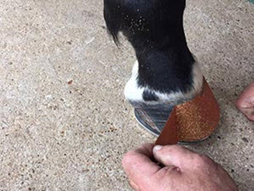 Horse Hoofies Removal Step 2