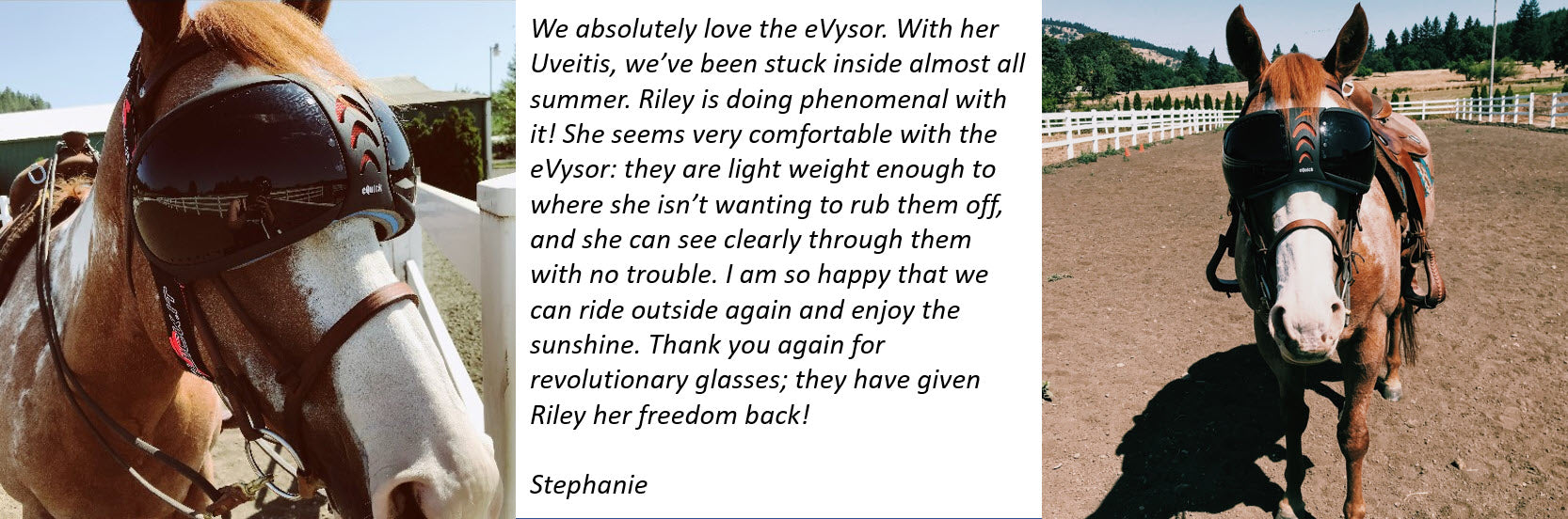 Protective Pet Solutions eVysor UV Riding Goggles Testimonial