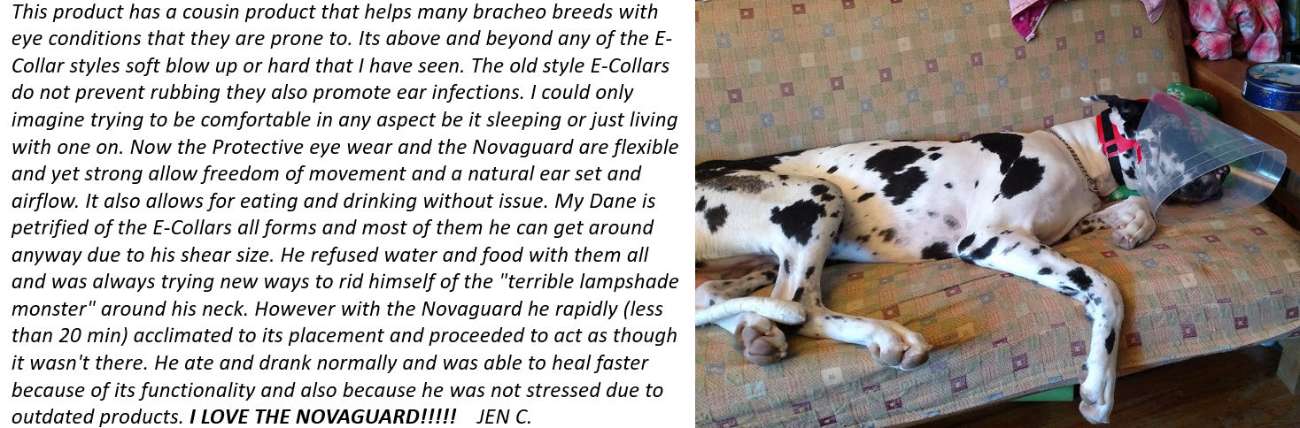 Protective Pet Solutions Testimonial