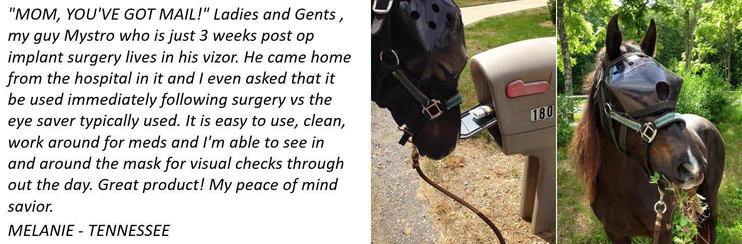 Protective Pet Solutions Testimonial