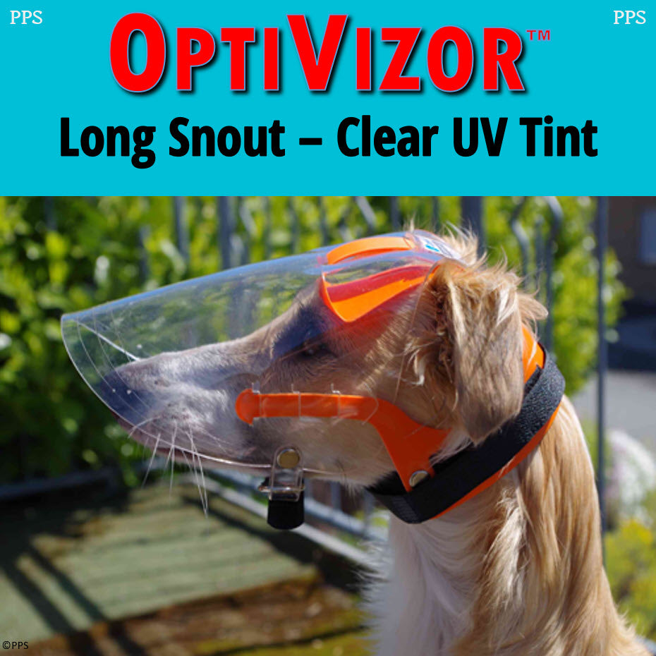 trompet hoogtepunt Belangrijk nieuws OptiVizor UV Eye Protection For Dogs - Long Snout - Clear UV Tint -  Protective Pet Solutions