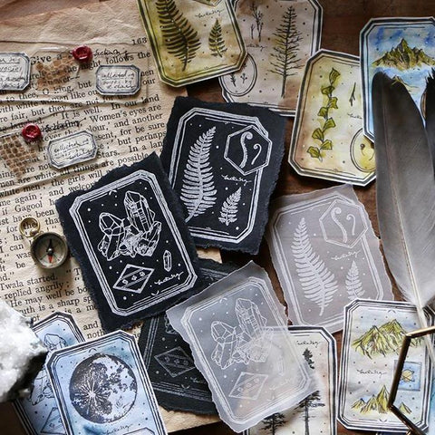 LCN Design Studio: Specimen Display Rubber Stamps Set