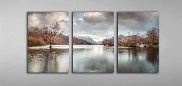 Triptych or multi panel canvases can also be produced from just one image. Please contact us for more information