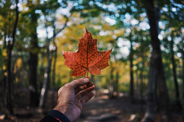 Canadian Corporate Gifts