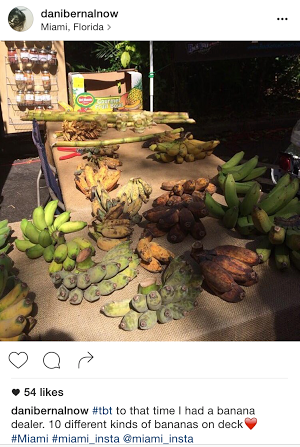 miami fruit banana dealer