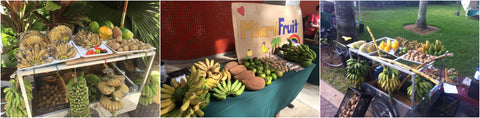 miamifruit stand and bike trailer