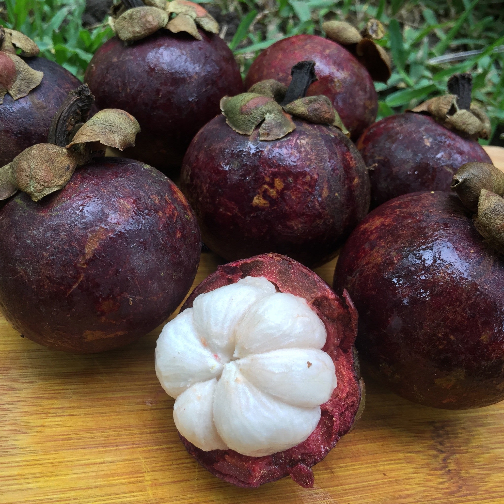 Image result for Mangosteens