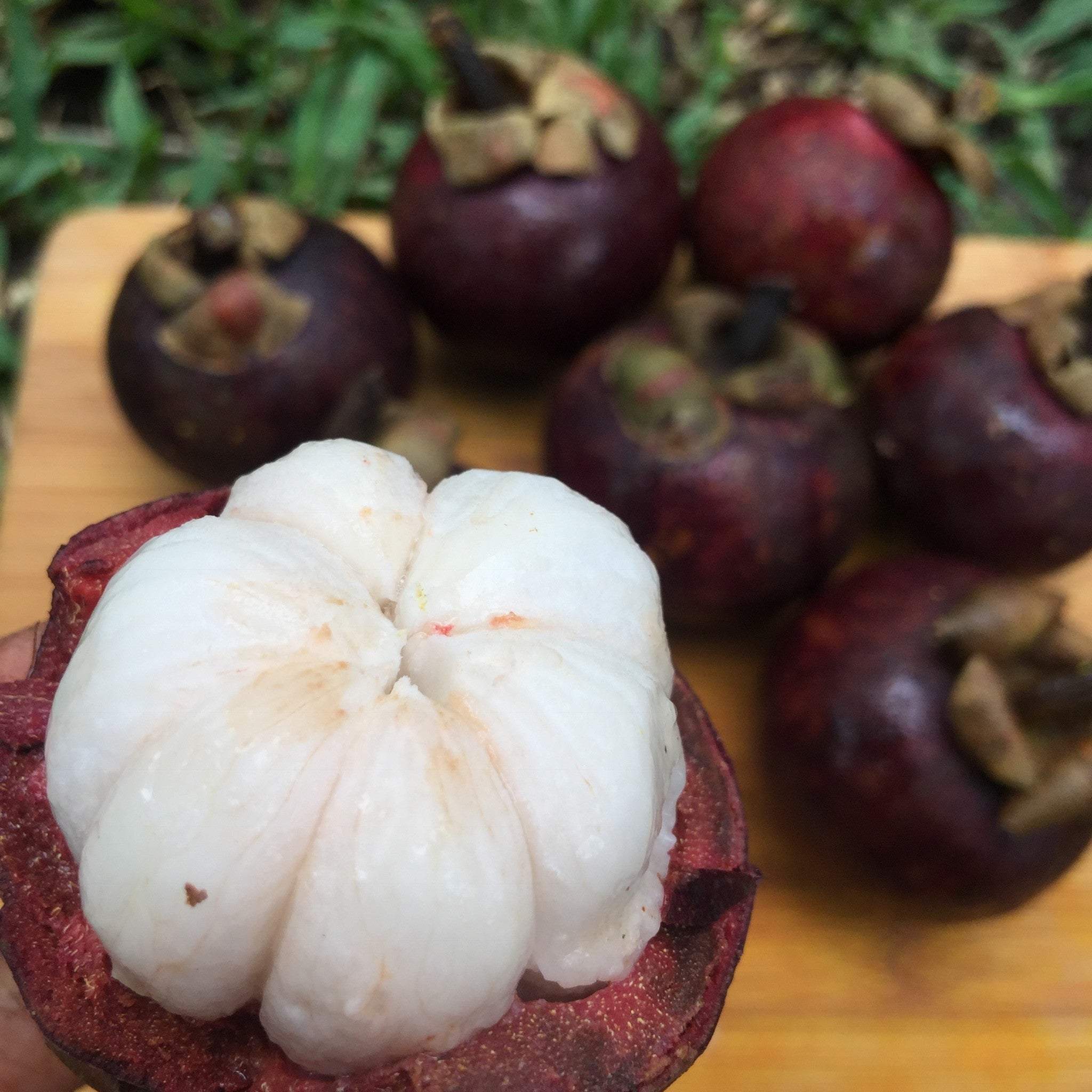 Mangosteen - Buy Mangosteen online from Miami Fruit