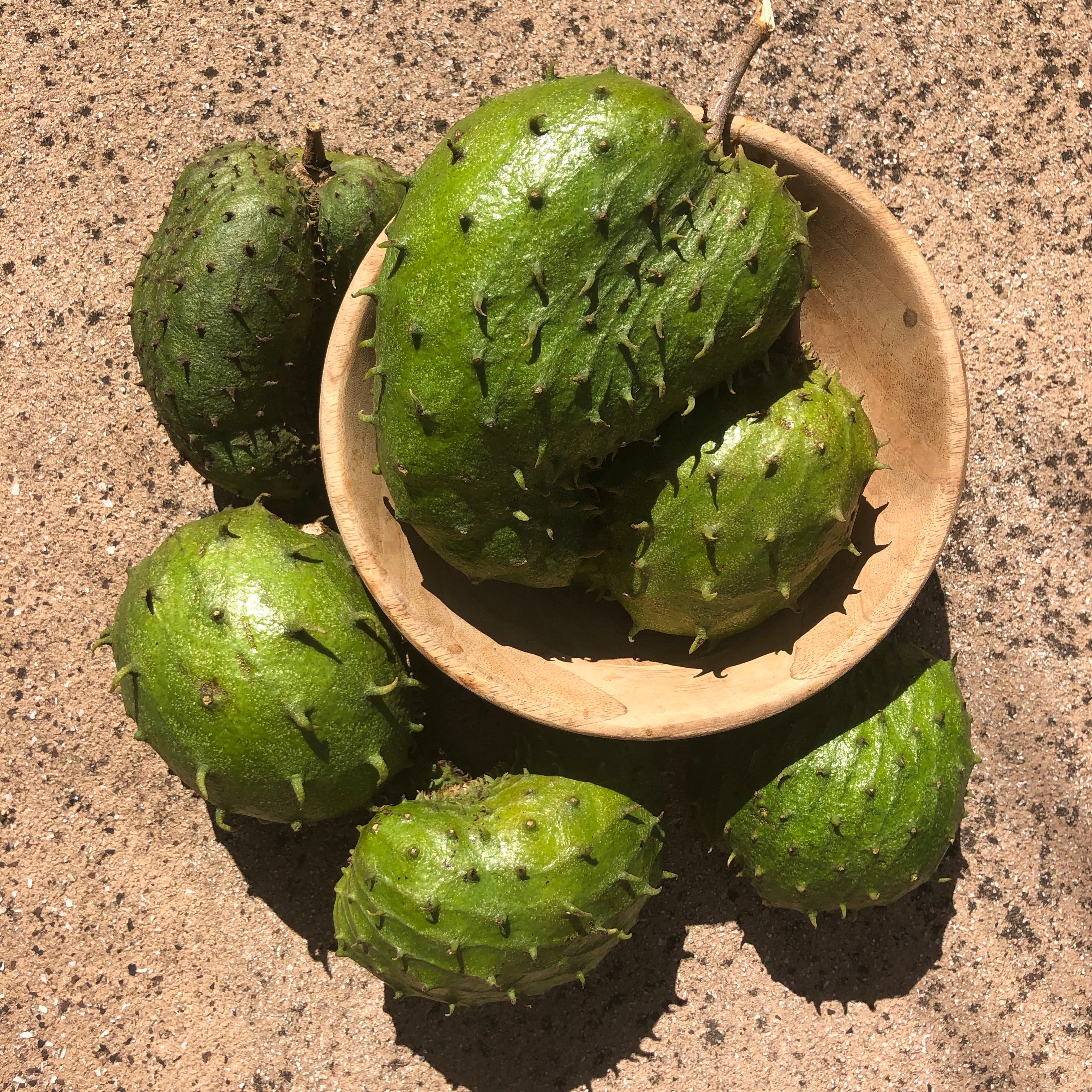 Locally Grown Miami Soursop (Guanabana) - Miami Fruit