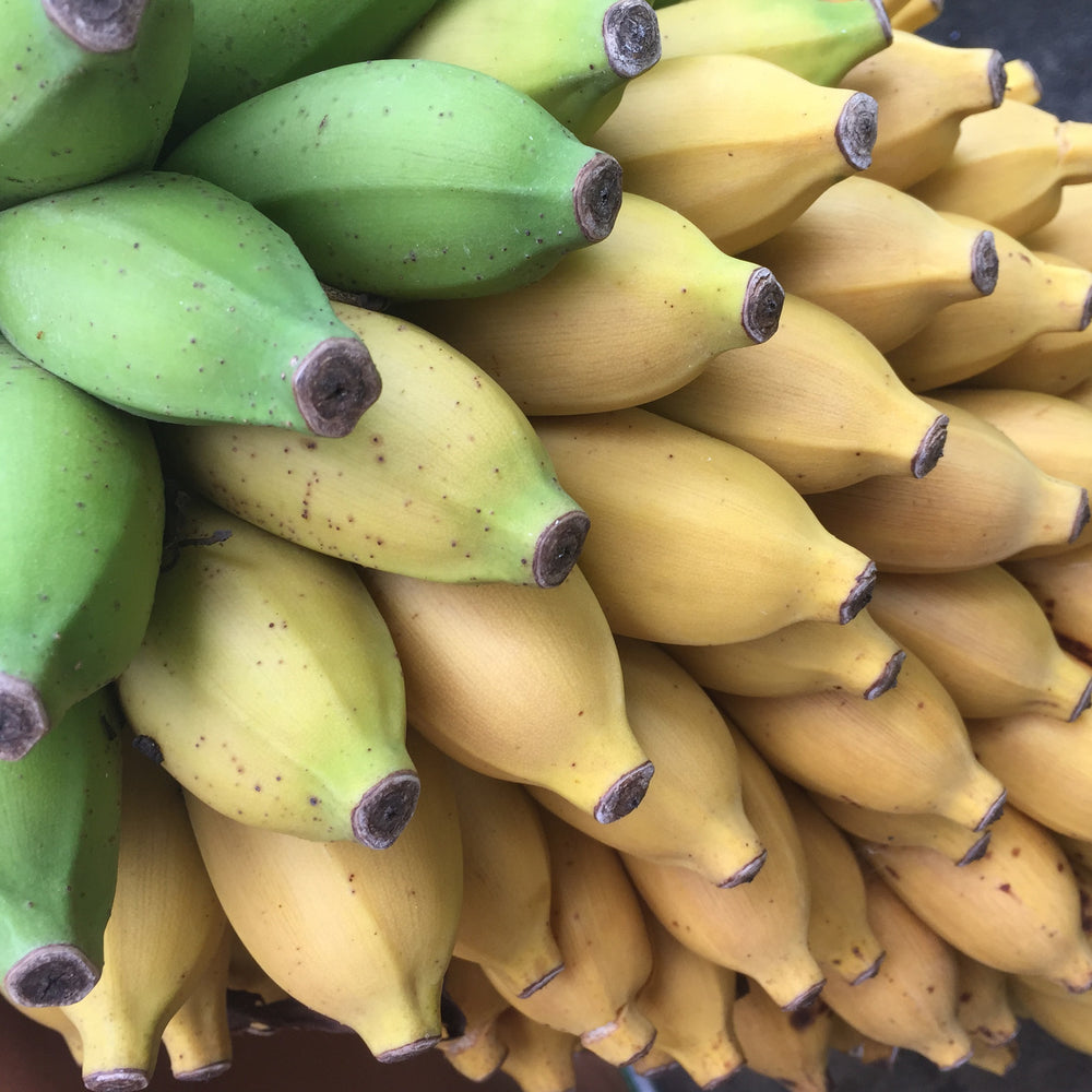 Nam Wah Bananas  Thai Banana Tropical Fruit Exotic Fresh Organic - Yahoo  Shopping