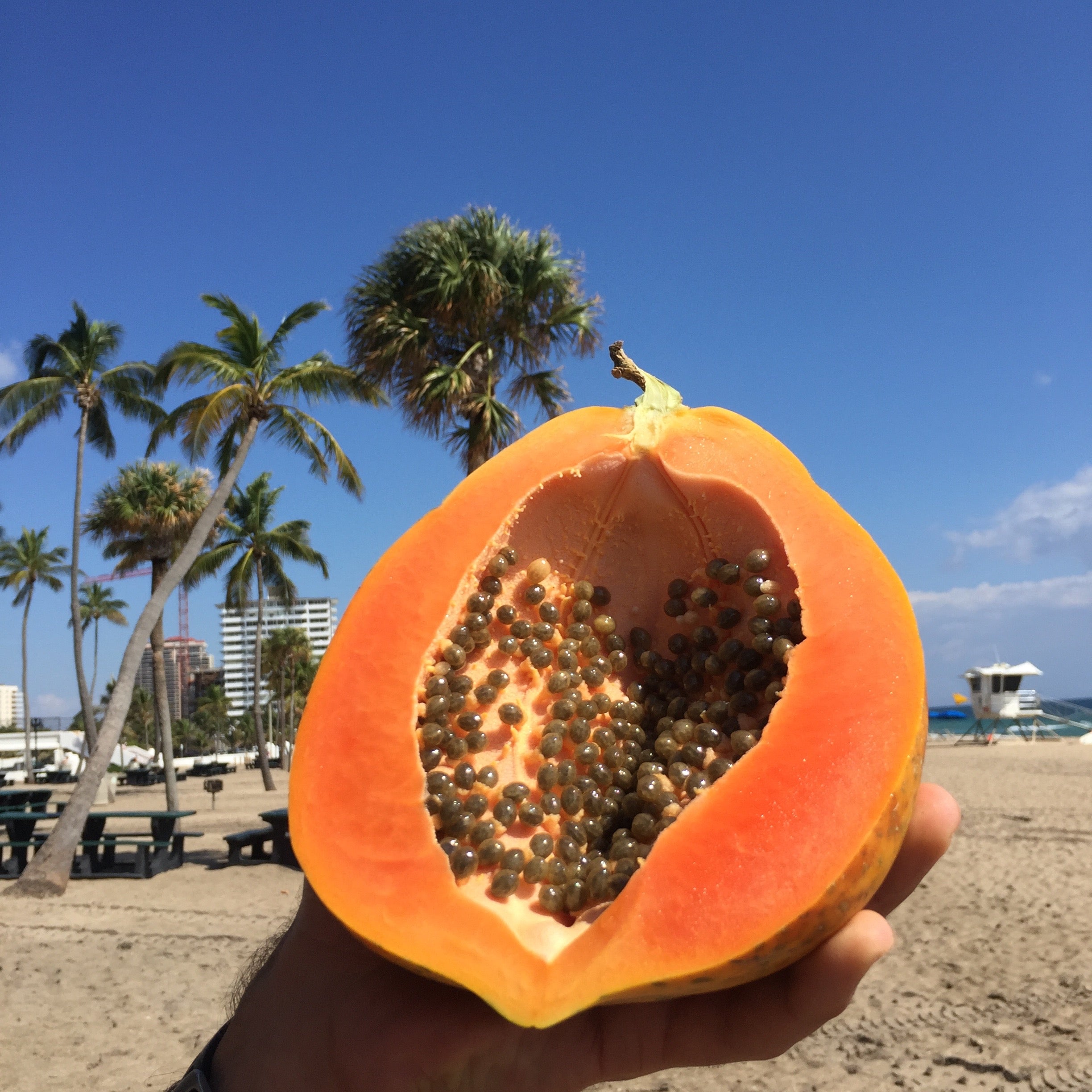 Caribbean Papaya - Buy Papaya online from Miami Fruit