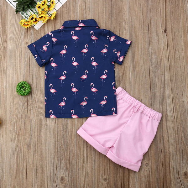 baby boy flamingo clothes