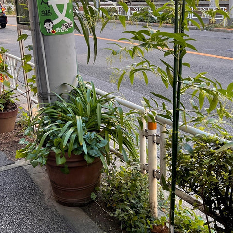 Tokyo Street Planting
