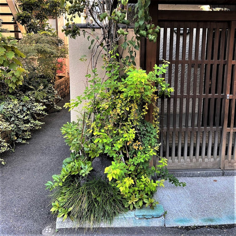 Tokyo Street Planting