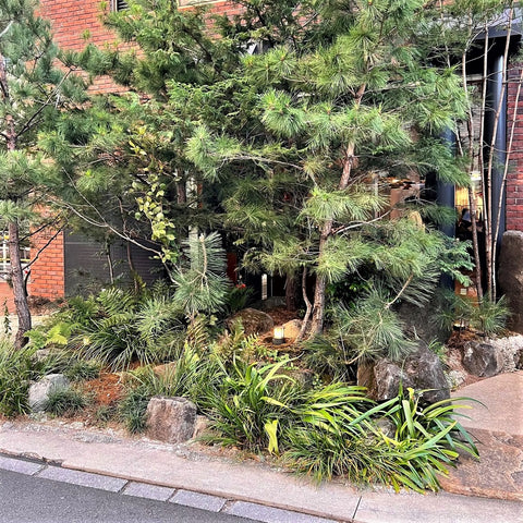 Tokyo Street Planting