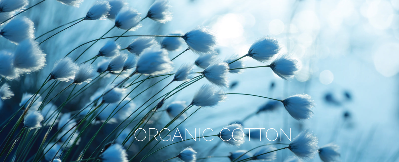 ORGANIC COTTON