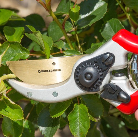 THIS CHEAP SHARPENING TOOL DOES THE JOB WELL.Garden Tool. How I Sharpen My  Pruners Secateurs 