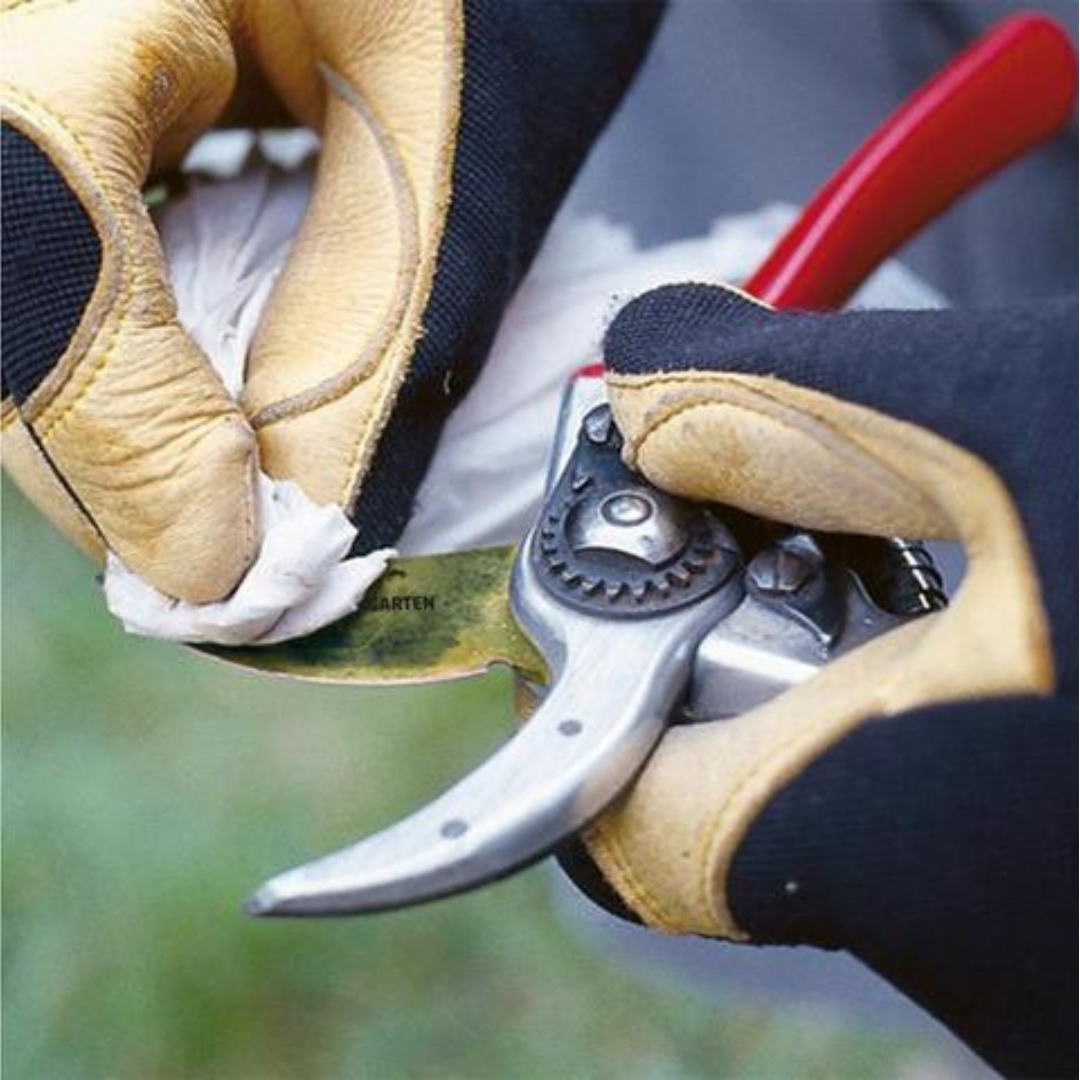 5 Things To Know Before Buying Pruning Shears