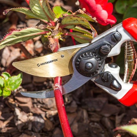 Pruning Shears for Gardening, Garden Hand Shears, Professional Bypass  Pruner Hand Shears Heavy Duty, Pruners for Gardening, Garden Clippers with  Safety Lock and Non-slip Handles-Gardening Hand Pruner