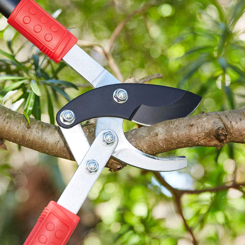 Must-Have Pruning Tools for Gardeners