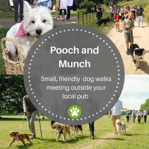 Pooch and Munch dog walks from pubs