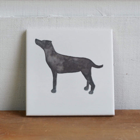 Labrador Dog Coaster