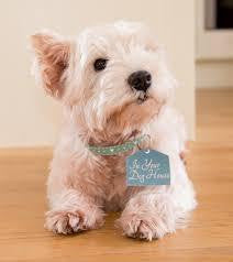 West Highland Terrier