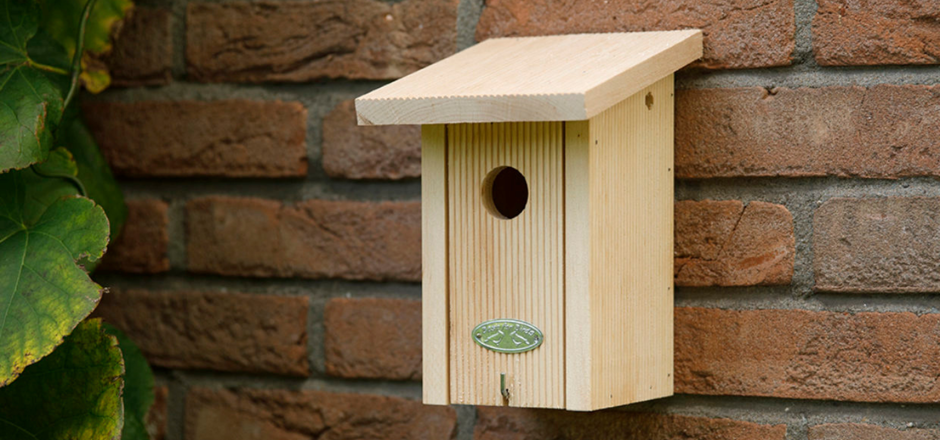 A blue-tit birdhouse mounted on a wall