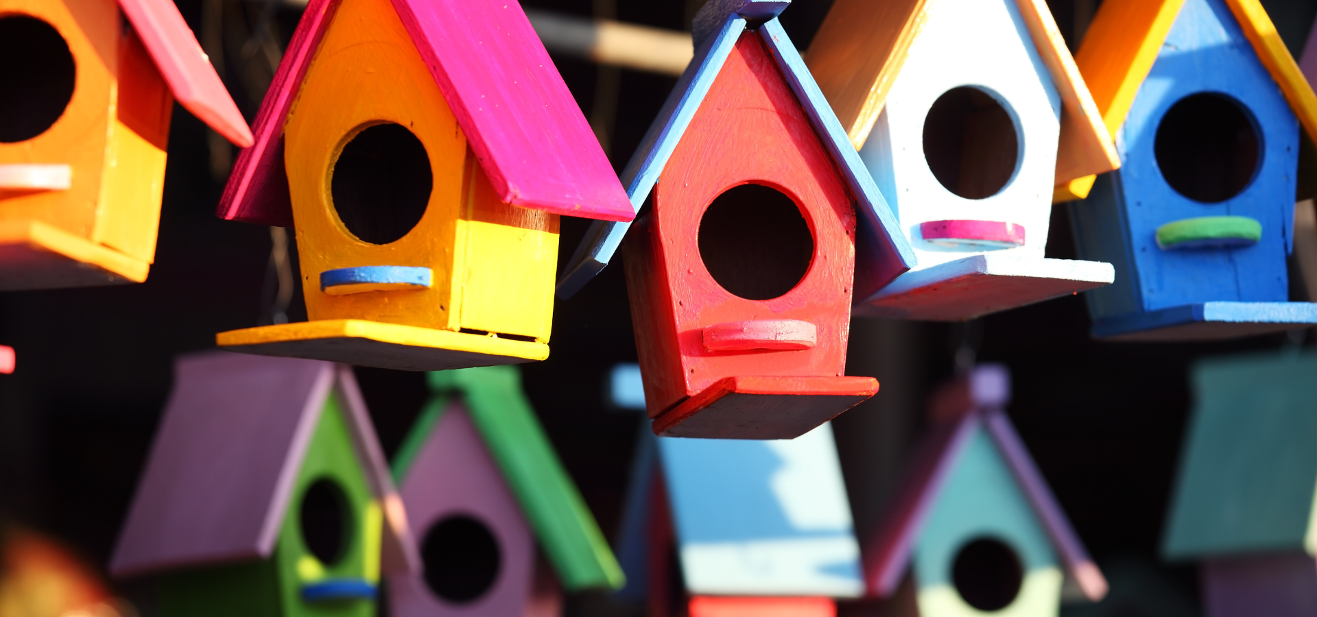 A collection of colourful bird houses