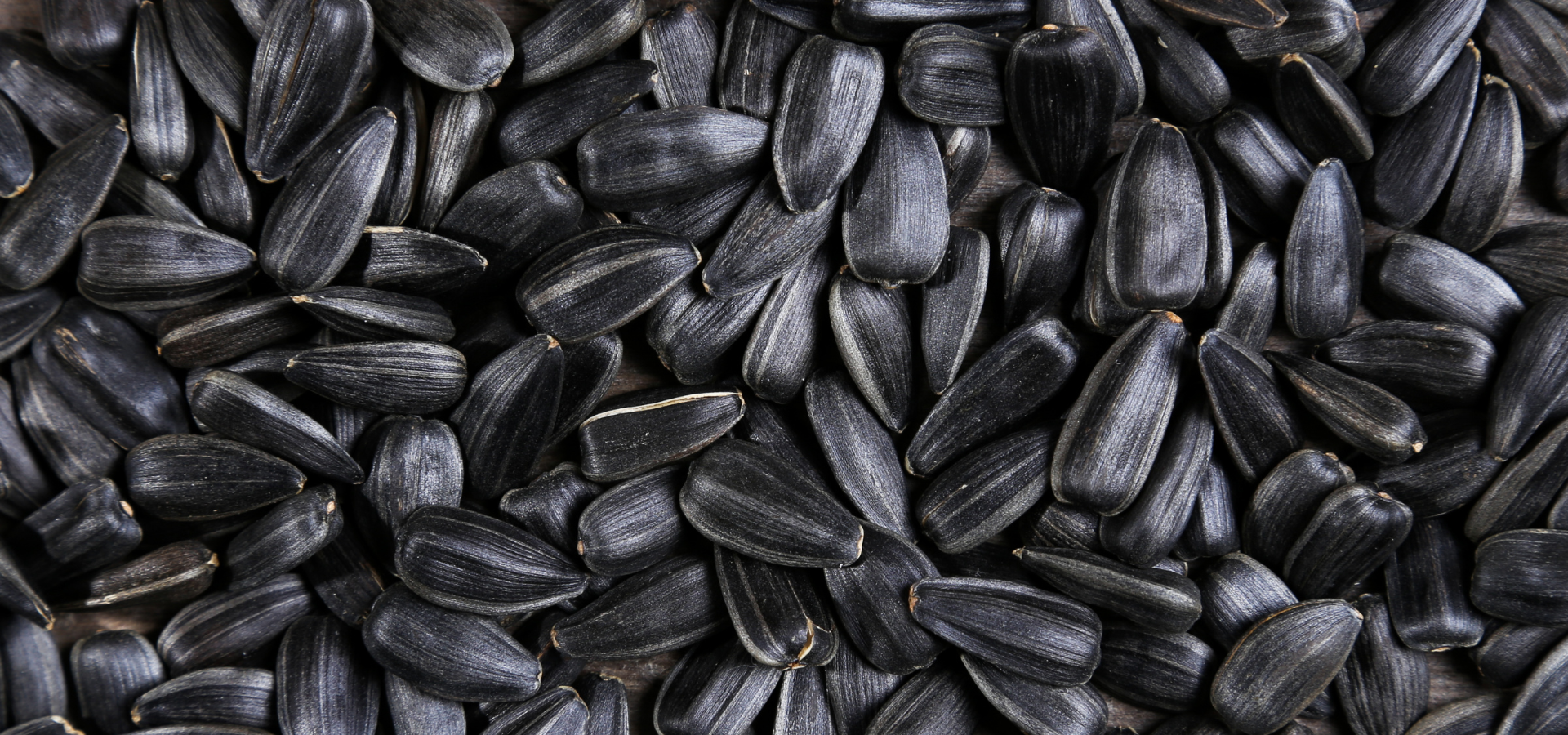 Black sunflower seeds