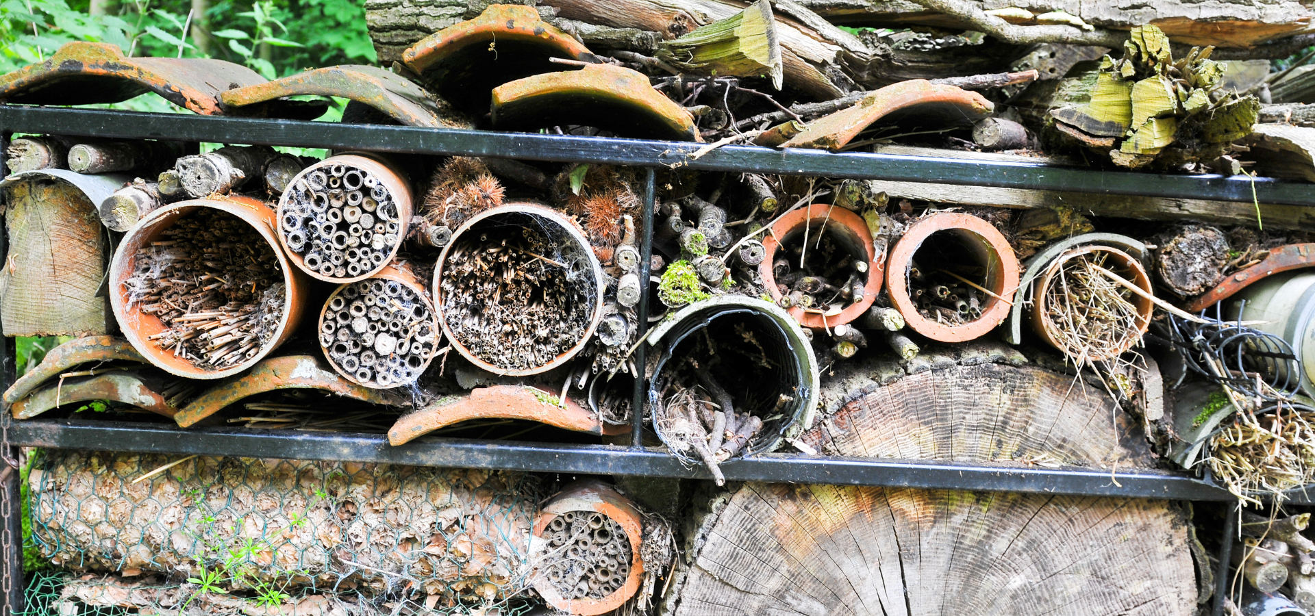 A dishevelled bug hotel