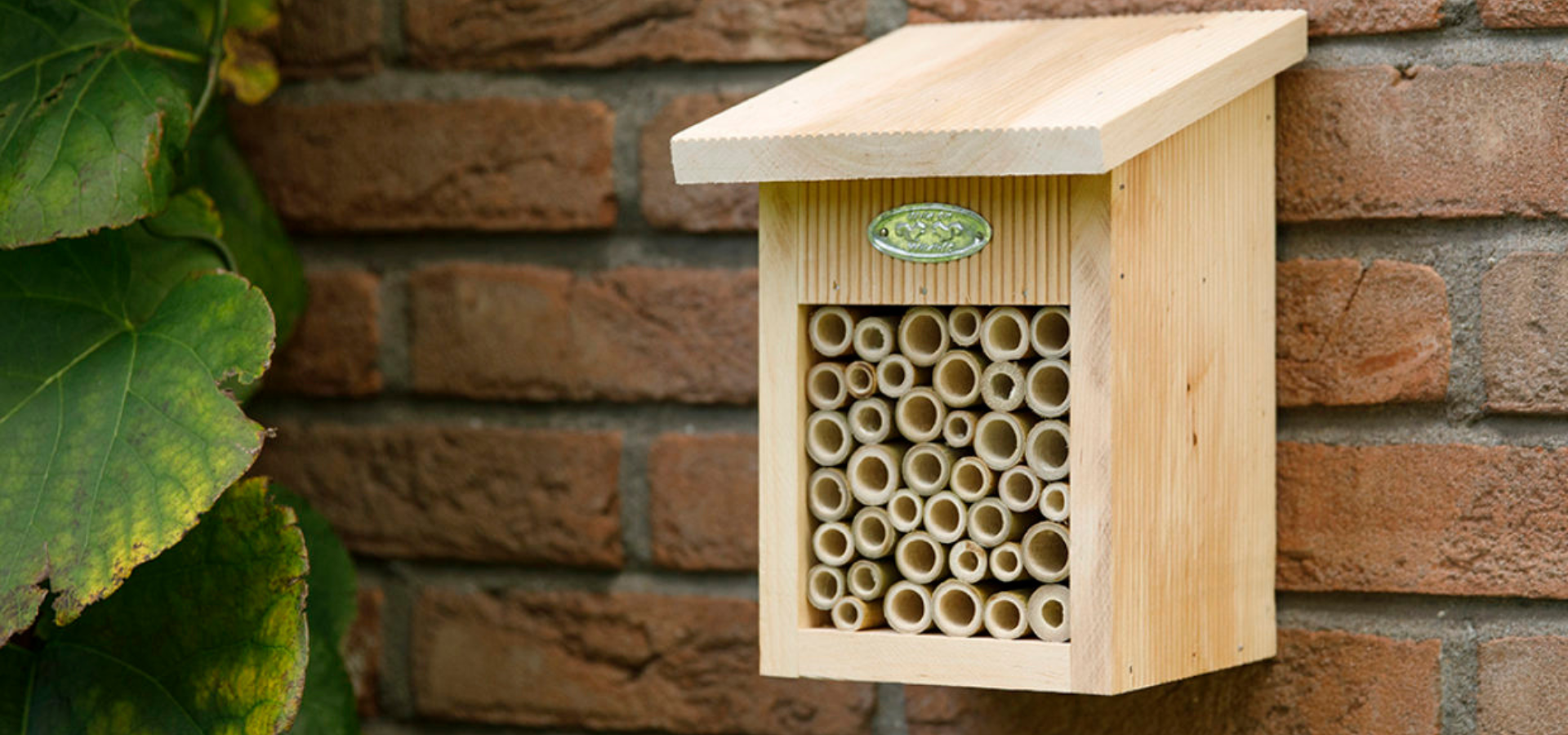 A bee house mounted on a wall